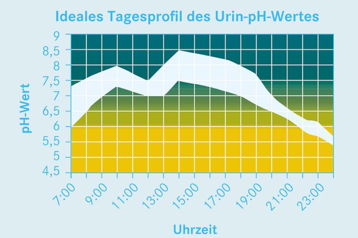 Krebs und basisches Milieu?