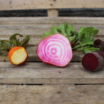 Uncategorized Beets _